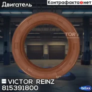 ������� �����. ���� (33x49x8) Victor Reinz ���. 815391800 815391800 ����