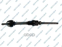 ��������� ��� | ����� ���� | GSP ���. 210208 210208 ����