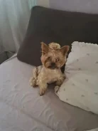 ����������� ������. ����