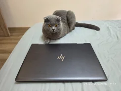 HP Envy x360. 15.6", 3����, ��� 8 ��, ���� 240���, WiFi: 1, Bluetooth: 1 ����