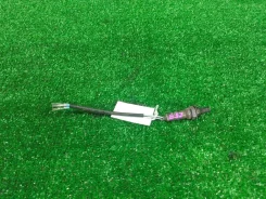 ������-���� Honda Avancier 36531PCA014/OHC501H4 36531PCA014 ����