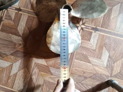 ����� �������. ����