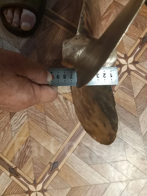 ����� �������. ����