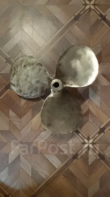 ����� �������. ����