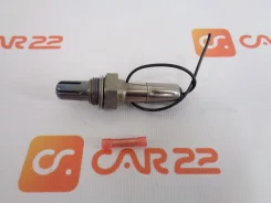 ������ ����������� (������-����) 2000001SX ����