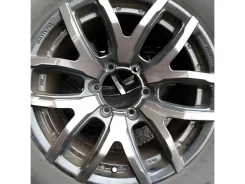 RAYS Team Daytona FDX F6