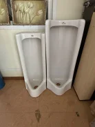 �������� ���������. ����