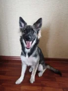 ����� ����