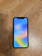 Apple iPhone X. �/�, 64 ��, ������, 3G, 4G LTE ����