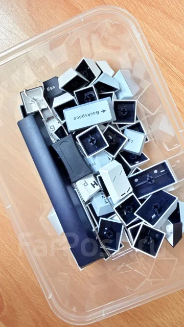����������. ����