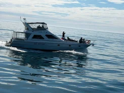 ������ ����� vitech 52. 1999 ���, ����� 17��., ��������� ������������, 1 100��.�., ������ ����