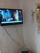 �����. LED ����
