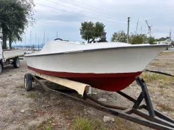 Yamaha Fish 17. 1990 ���, ����� 5,5��., ��������� ���������, 50��.�., ������ ����