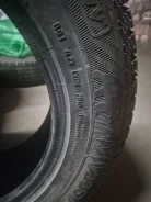 Gislaved Nord Frost 200. ������, ����������, 2019 ���, �/�, ����� 20 % ����