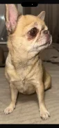 ������. ����