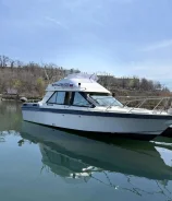 Yamaha SR-25. 1989 ���, ����� 7,5��., ��������� ������������, 430��.�., ������ ����