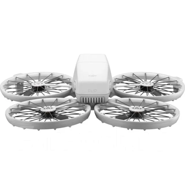 DJI Flip ����