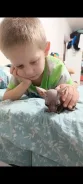 ���������� ��������. ����