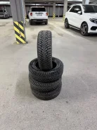 Nokian Hakkapeliitta 10P. ������, ����������, 2022 ���, �/�, ����� �� 5 %. �������� ������� ����