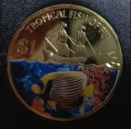 ����� 1 ������ 2009. ����������� ���� - ������������� ����� ����