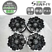 RAYS Team Daytona FDX F7