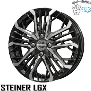 Kyoho Steiner LGX