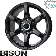Lenso Vision-Bizon