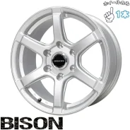 Lenso Vision-Bizon