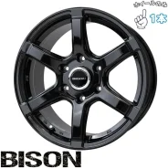 Lenso Vision-Bizon