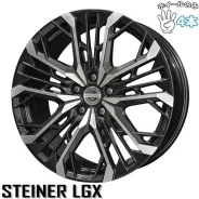 Kyoho Steiner LGX