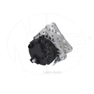 ��������� Skoda Rapid NSP0803D903025J ����