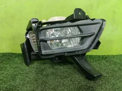 ���� ��������������� Toyota Vellfire 2009 12495 ANH20 2AZFE, �������� ������ 12495 ����