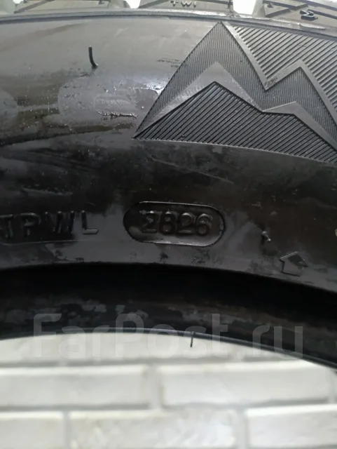 Vittos VWS31. ������, ����������, 2026 ���, ����� ����