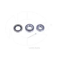 ��������� ������� ������ Daewoo Matiz (�-��) NSPRS102N6 ����
