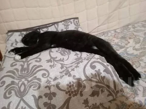 ����������� �����. ����