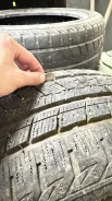 Altenzo. ������, ��� �����, 2022 ���, �/�, ����� 10 %. ��������� ����