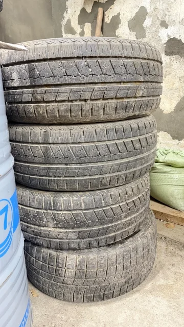 Altenzo. ������, ��� �����, 2022 ���, �/�, ����� 10 %. �������� ������� ����