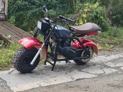 ��� 118 ������, 2026. ��������, ��� ���, ��� ������� ����