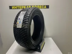ZMax Winternova Stud II