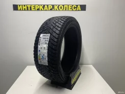 ZMax Winternova Stud II