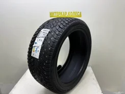 ZMax Winternova Stud II