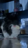 ������� ������. ����