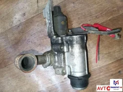 ������ EGR Renault Megane 2 (2002-2009) 2004 0060-1364640 255366 ����