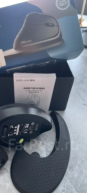 ���� �������. ����