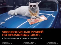 �����������-�����������. ��� "��� ����������". ����� �������� 1� ����