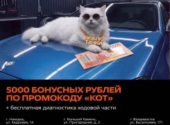 �����������-�����������. ��� "��� ����������". ����� �������� 1� ����