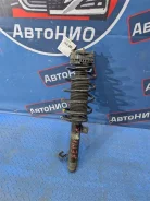 ������ Mazda Demio D46134900 DY3W ZJVE, �������� ����� D46134900 ����