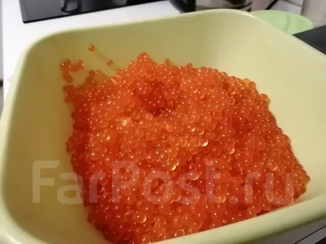 ���� ����. ����
