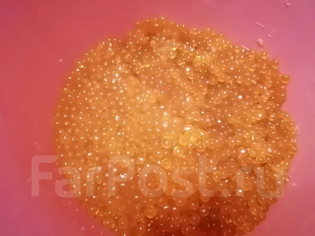 ���� ����. ����