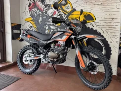 �������� Regulmoto Grizzly PR300 PRO 6 ��������� ��������� ���������� �������� �� ��, 2026. 300����. ��., ��������, ���������, ��� ������� ����